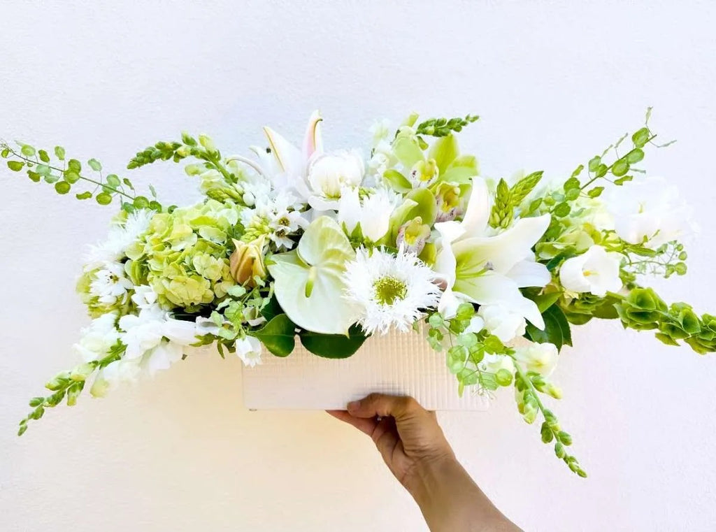 Soft Hues Collection