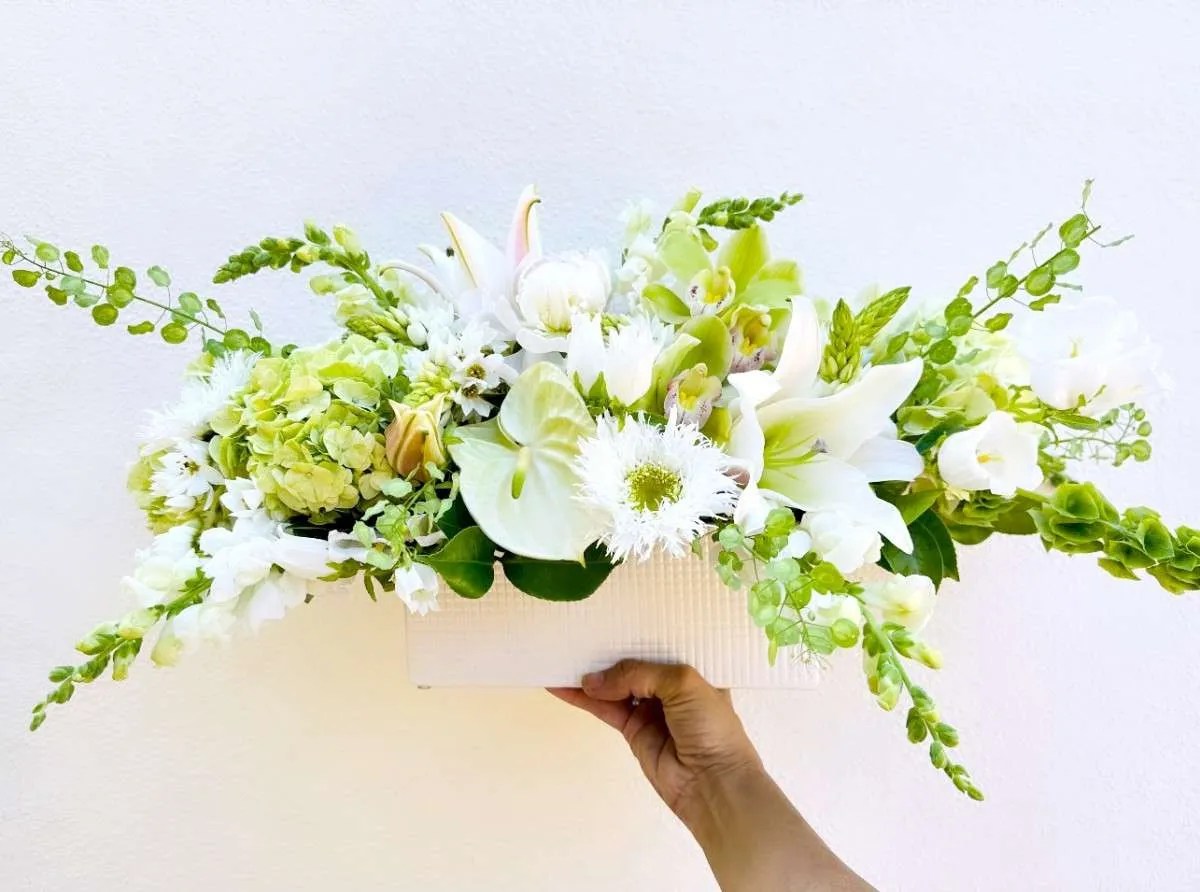 Soft Hues Collection