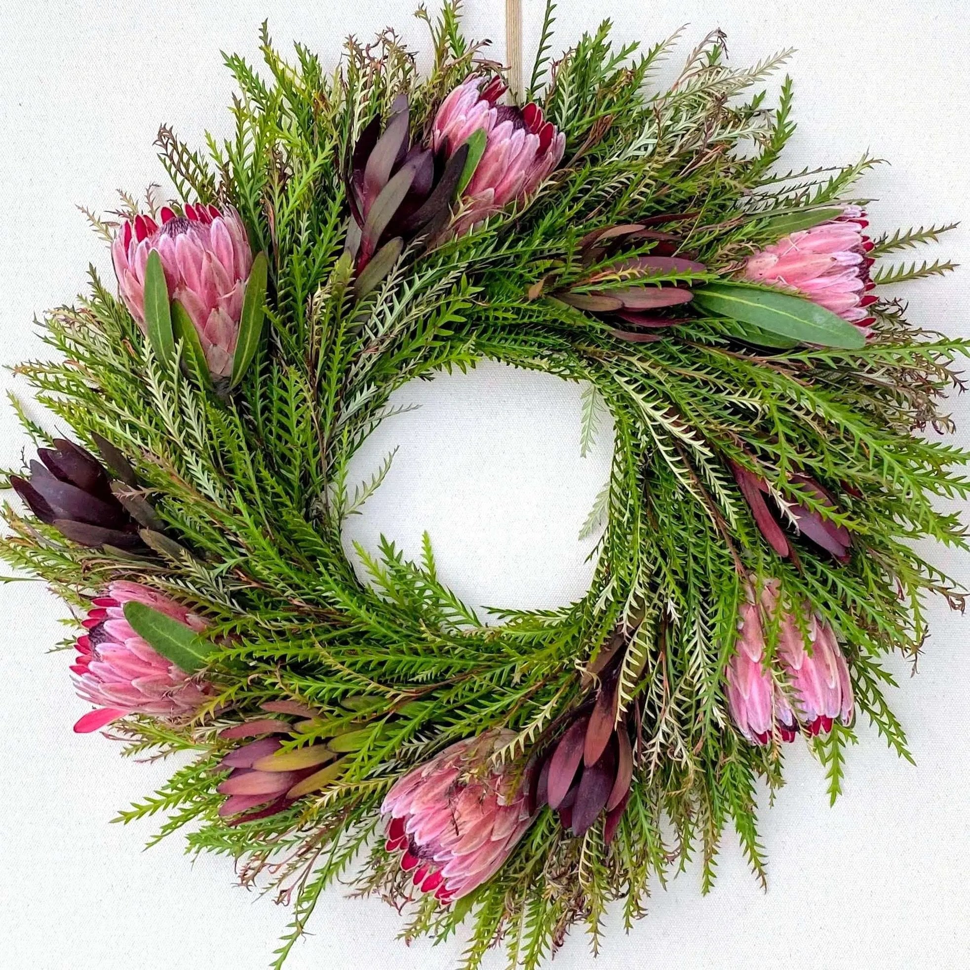 flower delivery grevillea protea leucadendron