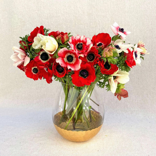 flower delivery in red anemones