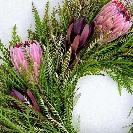 flower delivery grevillea protea leucadendron close up