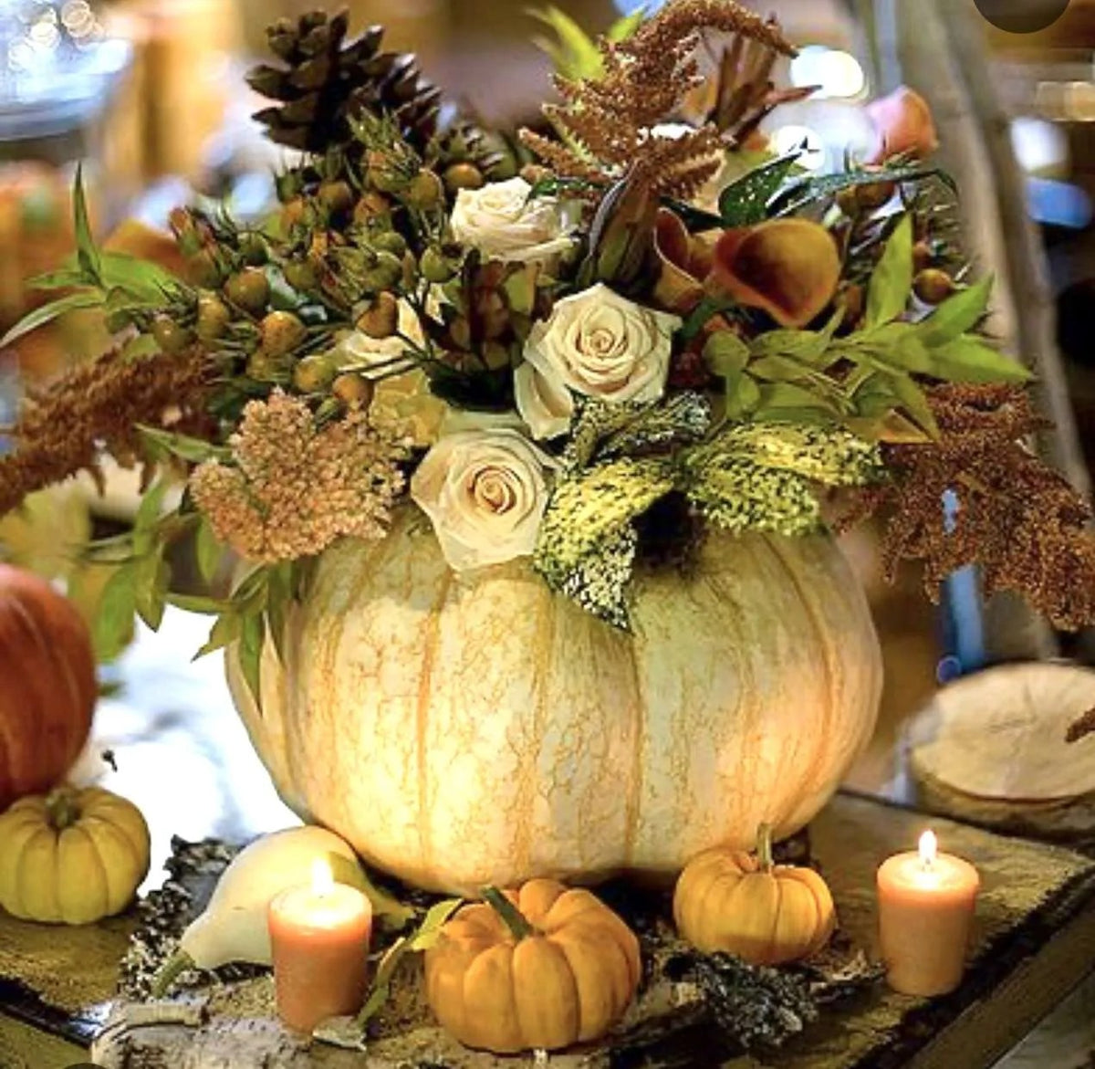 Pumpkin Centerpiece Workshop      Gal in the Glen + Locanda Ischia         Sunday, Oct. 25, 2:00-4:00 PM