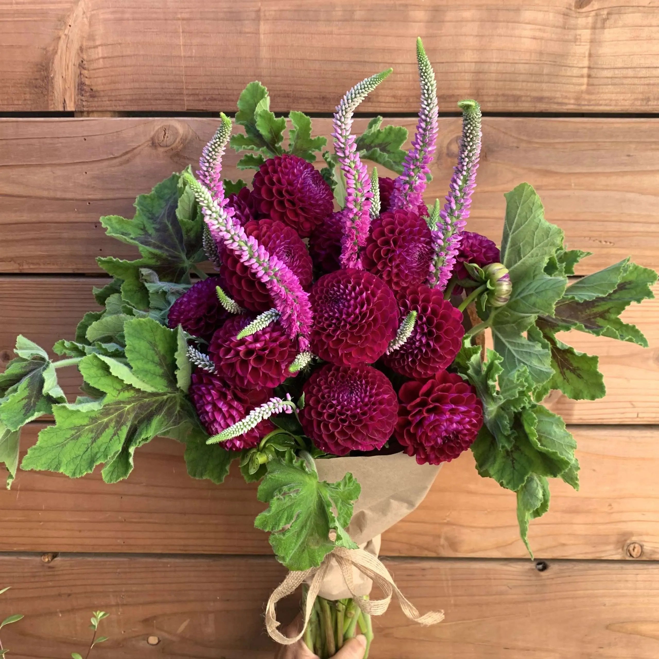 flower delivery in burgundy dahlias