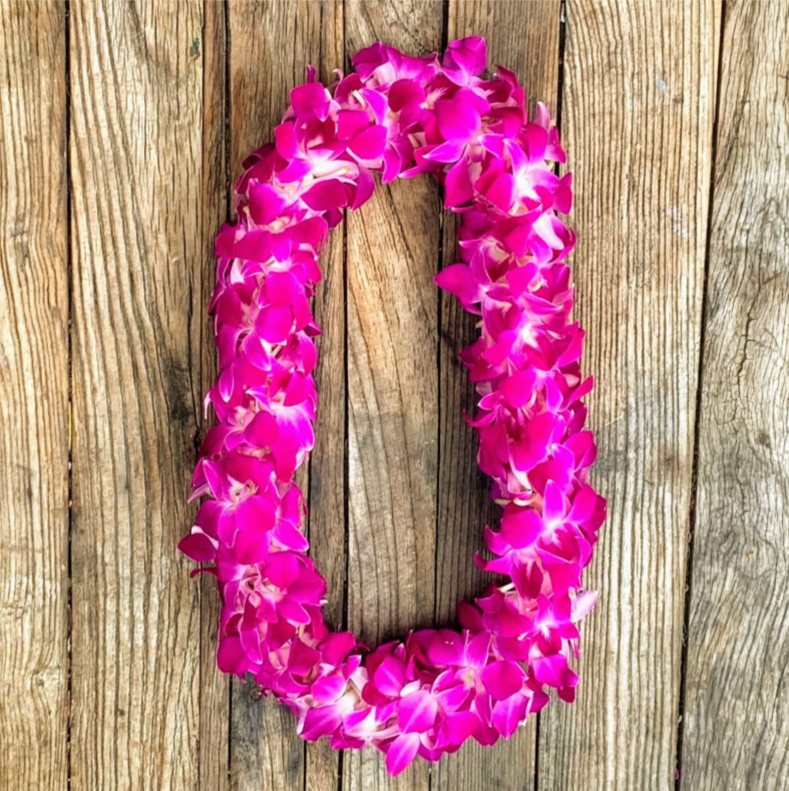 Double Orchid Graduation Lei in Purple