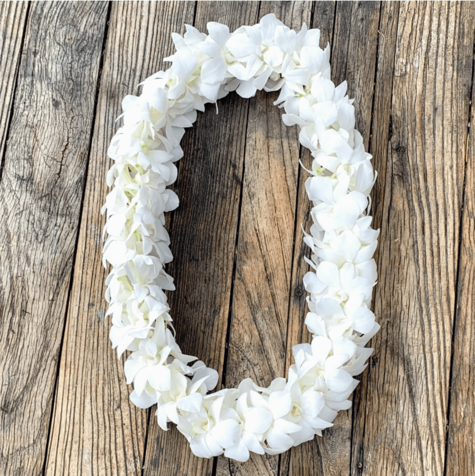 Double Orchid Graduation Lei in White