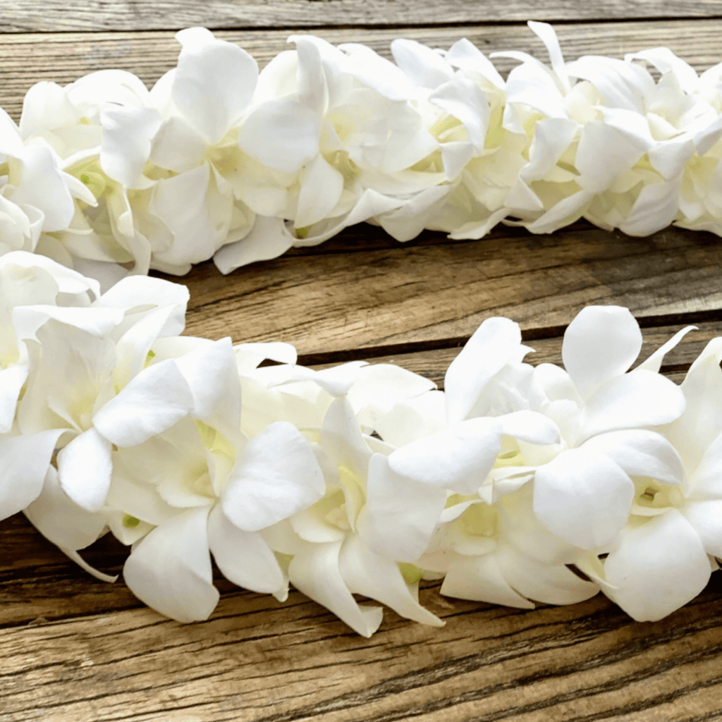Double Orchid Graduation Lei in White
