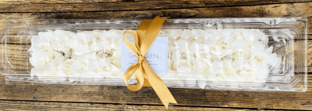 Double Orchid Graduation Lei in White