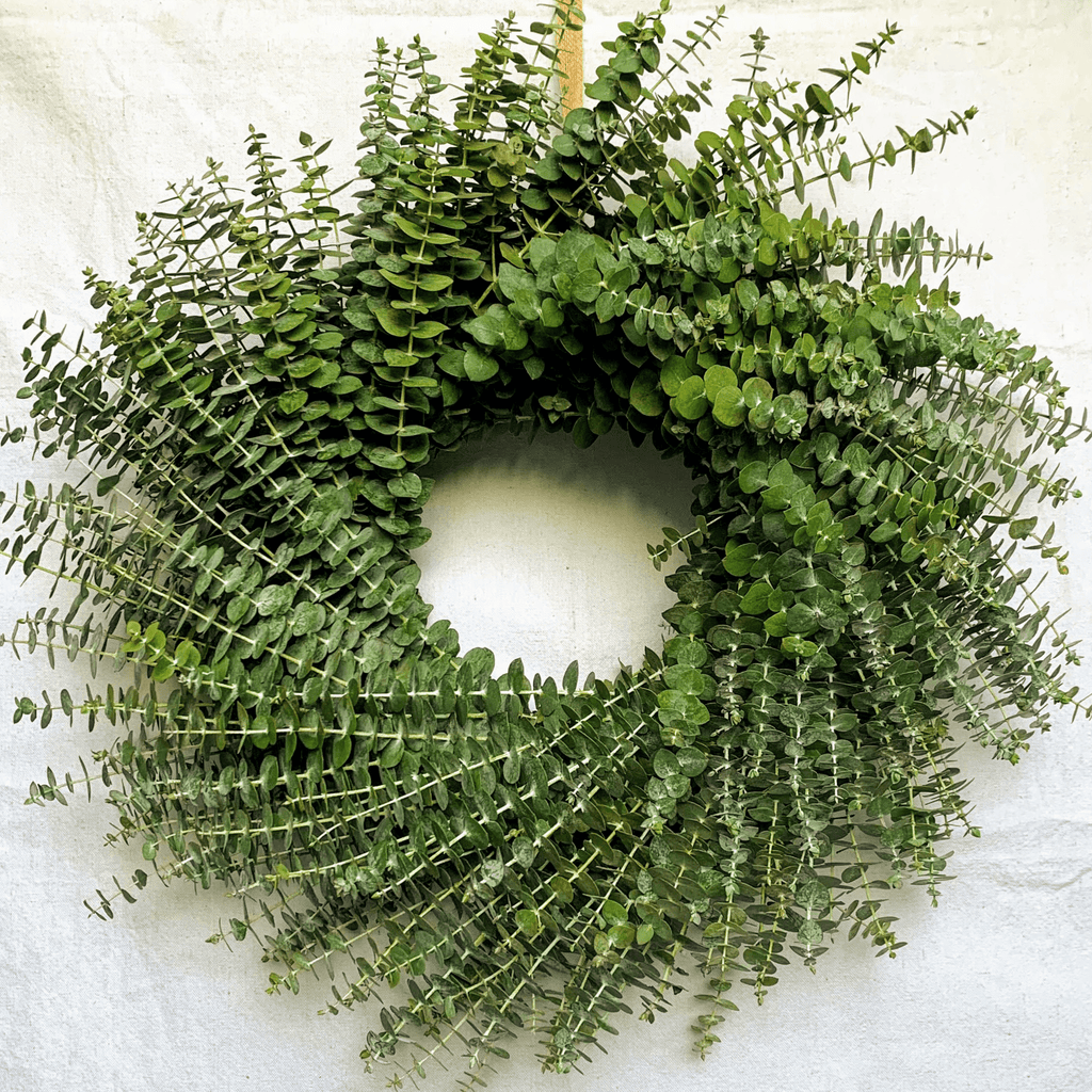 24" Fresh Fall Baby Eucalyptus Wreath and Garland