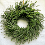 24" Fresh Baby Eucalyptus Wreath and Garland