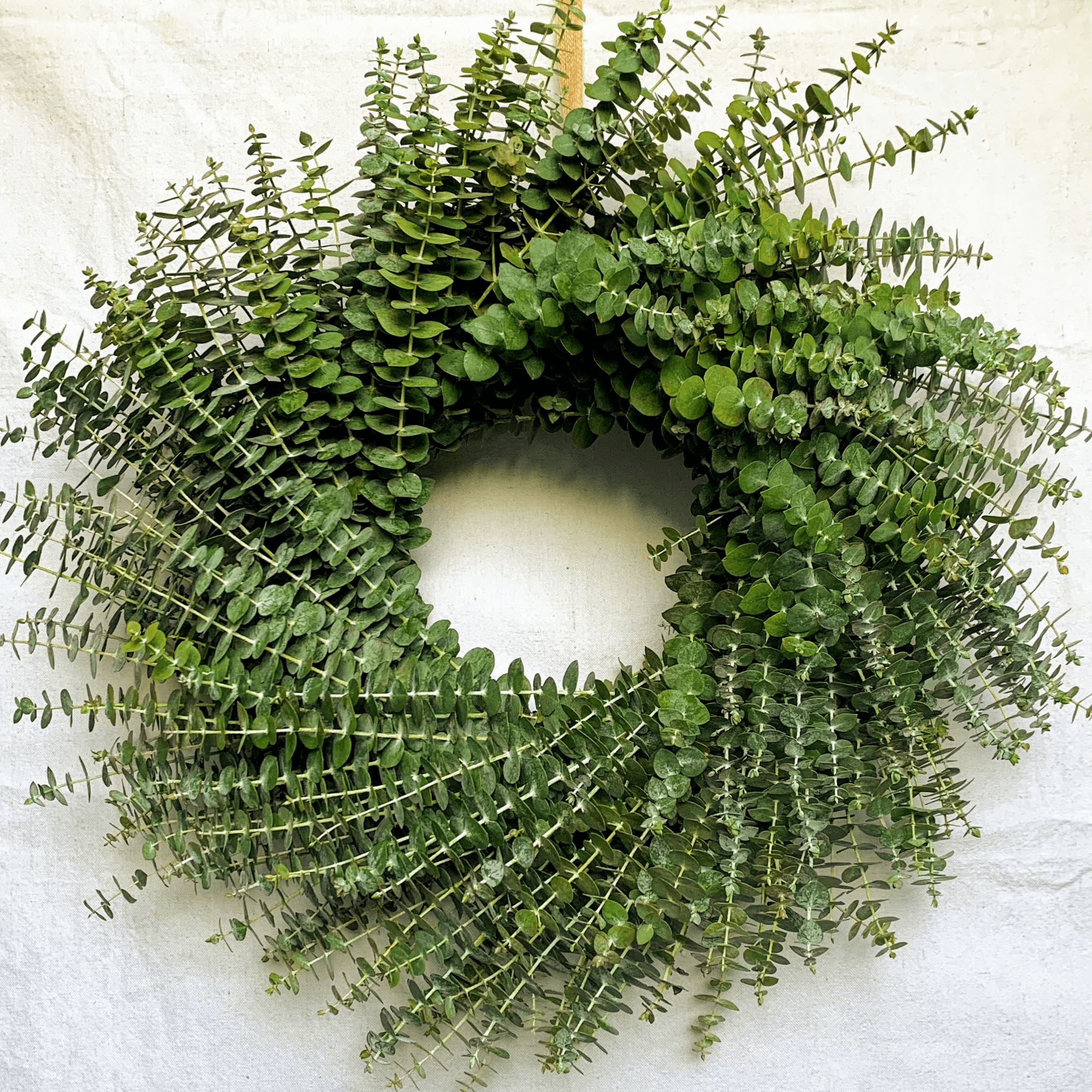 24" Fresh Fall Baby Eucalyptus Wreath and Garland