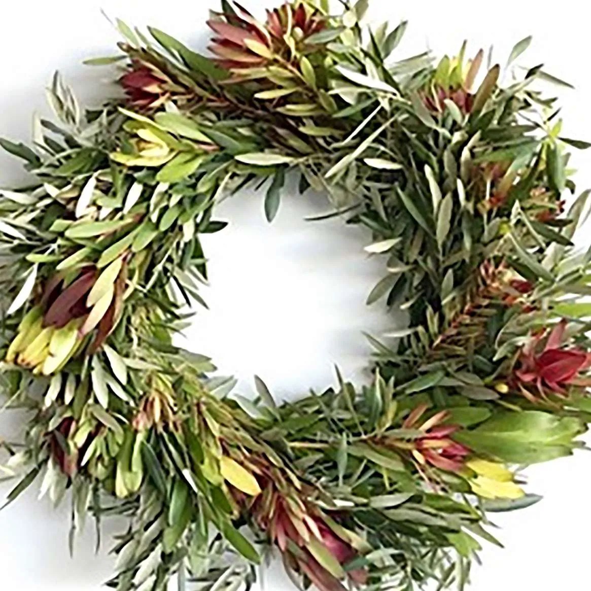 The Oliva Wreath & Garland